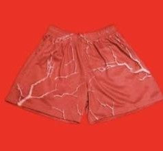 Lightning  Mesh Shorts